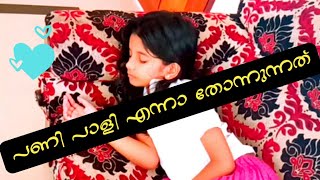 തനുവിന് ചെറിയയൊരു പണികൊടുത്തപ്പോൾ | Amazing Sisters life | Vlog