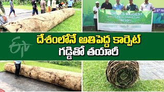 Environmentalist  Create Largest Natural Grass Carpet | Pune | గడ్డితో వెయ్యి చ.మీ కార్పెట్ తయారీ