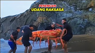 Misteri Hewan Bawah Laut Yang Sempat Gegerkan Dunia