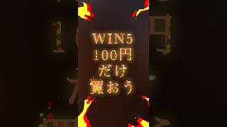 【WIN5】この100円だけ買おう！！宝くじ感覚で始めてみよう！！