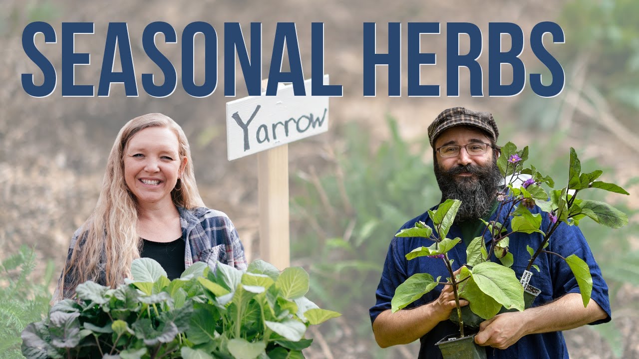 Home Homesteading Family