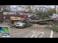 Several injured by falling trees in San Francisco, record wind recorded