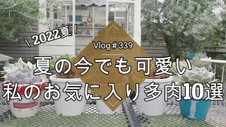 【Vlog339】【多肉植物】夏の今でも可愛い💖私のお気に入り多肉１０選【2022夏】