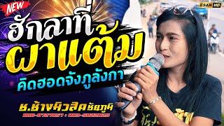 มาแรง!! ฮักลาที่ผาแต้ม | คิดฮอดจังภูลังกา | เสียงจากสาวลาว - รถแห่ช.ช้างมิวสิค ชัยภูมิ