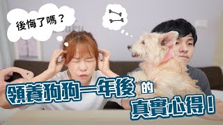 後悔了⁉️領養流浪狗一年後的真實心得😓古娃娃WawaKu