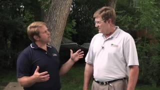 When is the best time to prune your trees? Denver and along the Front Range