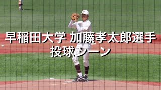 早稲田大学 加藤孝太郎選手 投球シーン