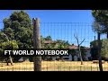Italy’s bank crisis hits hotels | FT World