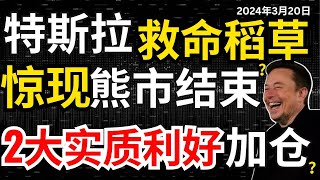 【特斯拉关键时刻救命稻草出现】两大实质利好，马斯克诡异大动作惊掉雷布斯下巴，英伟达GTC后股价没大涨，减仓还是加码？#特斯拉#特斯拉股票 #美股 #股哥说美股 #tesla #马斯克 #美股复盘