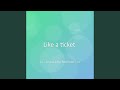 Like a ticket