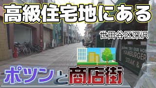 【ポツンと商店街】世田谷区深沢エーダンモール深沢商店街 鉄道不毛地区の高級住宅街にある商店街【Tokyo Suburbs Setagaya Town Walk】