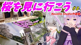 【Recotte Studio】【VOICEROIDとCeVIO AI と行く】「桜を見に行こう」旅行記#３