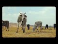 Sjava & Delayde - Grounding(Music Video)