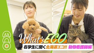 What's ECO 在学生に聞く北海道エコ!! 動物看護師編【#北海道エコ動物自然専門学校】