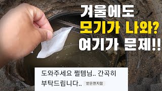 겨울인데 모기 때문에 죽겠다는 구독자 집에 가정방문 했습니다 겨울 모기는 이곳에 모여있습니다