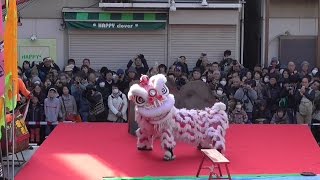 横浜・中華街　春節娯楽表演　獅子舞  lunar New Year events of Chinatown in Yokohama, Kanagawa Prefecture