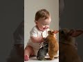 cute baby playing with cute rabbits shorts baby cutebaby rabbit