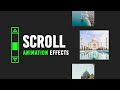 Scroll Animation | Javascript