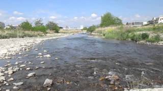 川の流れを観察しています　To observe the flow of the river