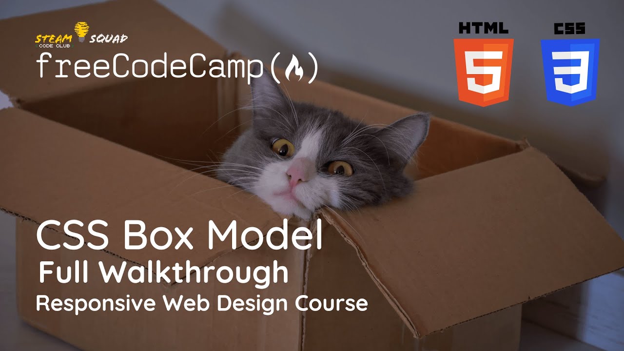 FreeCodeCamp - Responsive Web Design - CSS Box Model - YouTube