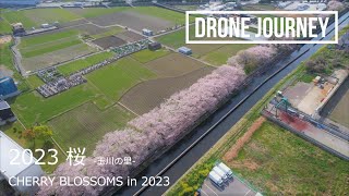 ドローン空撮 日本の風景 [2023 桜 (玉川の里)] [DJI Air2S] - Drone Movie Cherry blossoms in 2023 Japan -