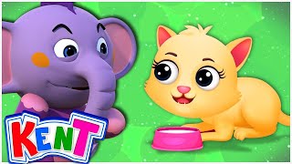 Kitty Kat Song - Nursery Rhymes & Kids Songs by Kent The Elephant