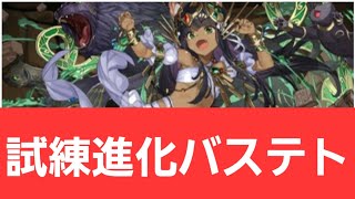 【パズドラ】強化試練進化バステトが強すぎてヤバい！！【ぶっ壊れ】【最強】【人権】【環境1位】【新百式】【新千手】【新万寿】【新凶兆】