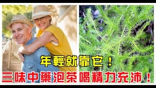 年輕就靠它！三味中藥泡茶喝精力充沛！