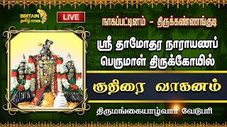 LIVE - நாகப்பட்டினம் - திருக்கண்ணங்குடி - ஸ்ரீ தாமோதர நாராயணப்பெருமாள் கோயில் - குதிரை வாகனம்