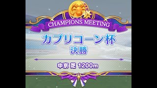 【ウマ娘】カプリコーン杯　決勝