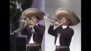 Mariachi Vargas 1989 - Huapango de Moncayo y El Si Que Si