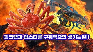 랍스터와 킹크랩을 숯불에 구워먹으면 생기는일~~대박