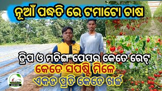 ଟମାଟୋ ଚାଷ ଏକଡ ପ୍ରତି କେତେ ଖର୍ଚ୍ଚ।ସପଷ୍ଟି କେତେ ମିଲେ।koshal chashi।E-Farming odisha।