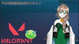 【VALORANT】先生たちに教えてもらう初心者カスタム～