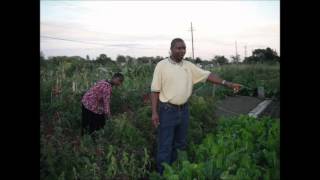 Gardening in Ottawa by Eugene Kabamba