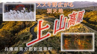 美しいススキ野広がる上山高原！