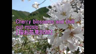 【日本の桜で花見を楽しむチルアウトBGM】Chill Out Music for Cherry Blossom Viewing in Japan