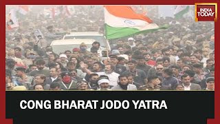 Rahul Gandhi Bharat Jodo Yatra Updates: Yatra Leaves Up, Enters Haryana