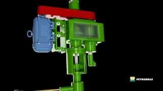 Progressive Cavity Pump Systems - PCP