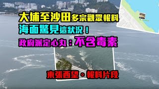 報料片段｜大埔至沙田多宗觀眾報料海面驚見這狀況！ 政府派定心丸：不含毒素