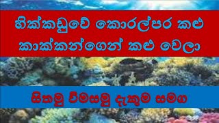 හික්කඩුවේ කොරල්පර - දැකුම 01 - 2025.01.01