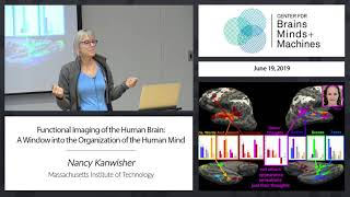 Functional Imaging of the Human Brain: A Window into the Organization of the Human Mind