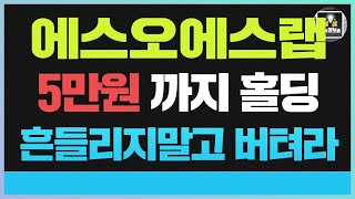 에스오에스랩 주가전망 에스오에스랩 주가설마 아직도 없으세요?일론머스크 관련주로 에스오에스랩 분석 결과 5만원까지 강력홀딩하세요 그럼부자된다(#퓨런티어 넥스트칩 #스마트레이더시스템