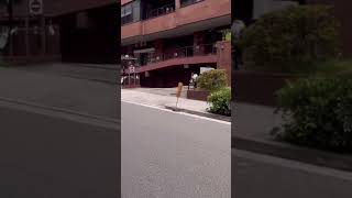 大阪　上本町6丁目　散歩動画2 ハイハイタウン