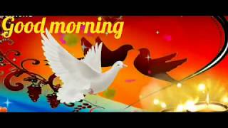Good Morning Video.... Whatsapp Wishes.... Beautiful Whatsapp Status.... Quotes.... With Heart....