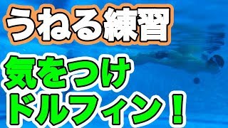 バタフライ うねり ができない方必見 ドルフィンキック 最速でコツを掴む 練習方法