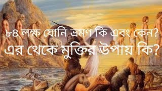 ৮৪ লক্ষ যোনি ভ্রমণ কি এবং কেন? এর থেকে মুক্তির উপায় কি? What is the way to get rid of it?