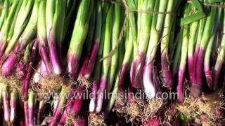 Farmers' weekly market in Bangalore