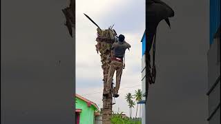 Coconut tree workingSabarinatha tree cutter pattukkottai 8072635013