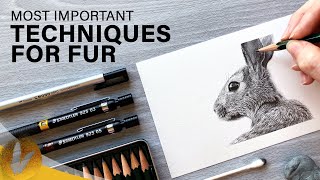 Most Important Techniques Of Drawing Fur | Pencil How To Draw Realistic Fur Tutorial For Beginners